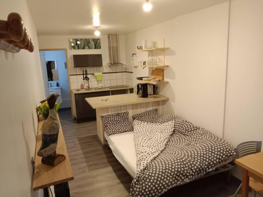 Poisson Apartment อิซิญี-ซูร์-แมร์ ภายนอก รูปภาพ